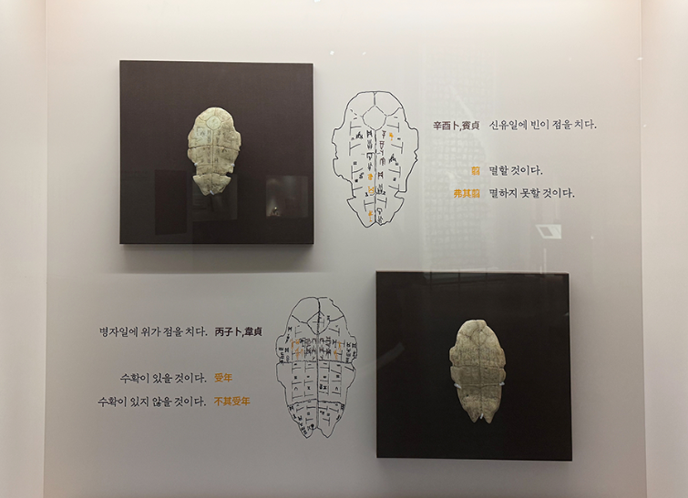 이미지: 갑골문 전시 사진_세부